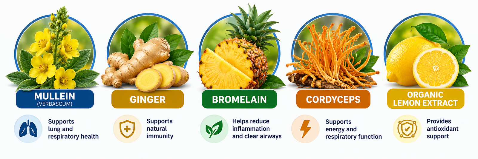 Mullein, Ginger, Bromelain, Cordyceps and Organic Lemon Extract